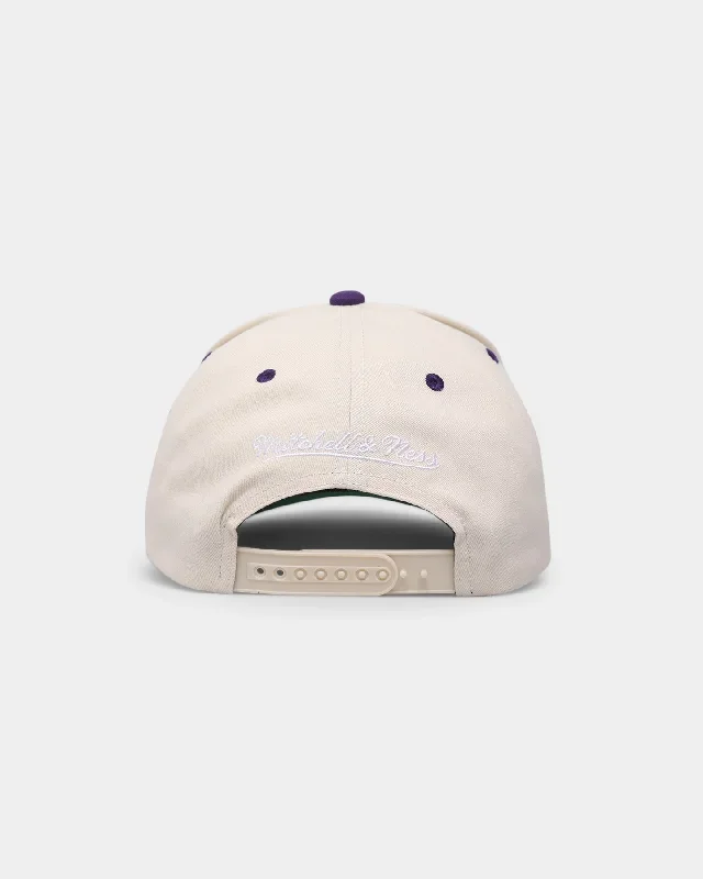 mitchell-ness-phoenix-suns-cream-team-script-pro-crown-snapback-cream